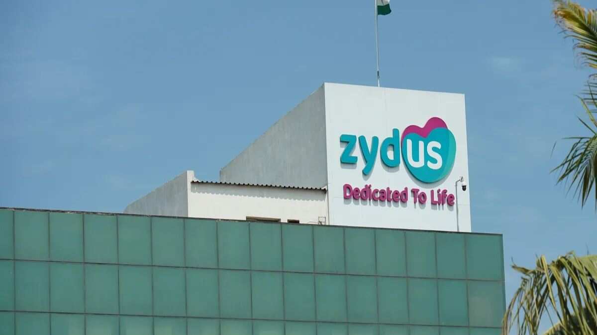 जायडस लाइफ साइंसेज शेयर प्राइस (Zydus Lifesciences Share Price)