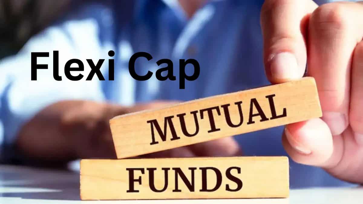 Flexi Cap Funds को लेकर क्यों क्रेजी हो रहे निवेशक? देश के 2 लीडिंग फंड मैनेजर से समझिए पूरी कहानी