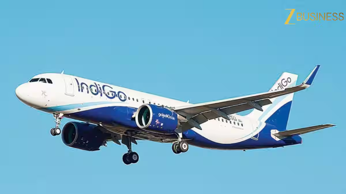 IndiGo की फ्लाइट्स कैंसिल का मुद्दा संसद पहुंचा, राज्यसभा सांसद प्रियंका चतुर्वेदी ने पत्र लिखकर की ये मांग