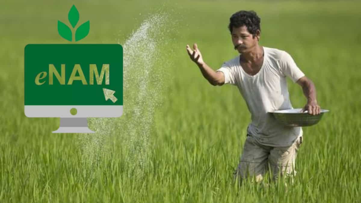 अब बिचौलियों की नो एंट्री! किसानों को मिलेगा फसल का मुंहमांगा दाम, झटपट घर बैठे ऑनलाइन बेचें फसल, जानें ये जादुई डिजिटल तरीका