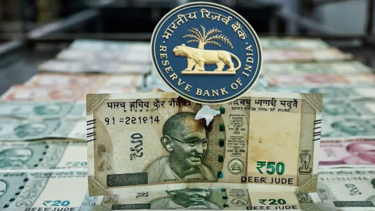 फटे नोटों का क्या करता है RBI? कहीं रद्दी में तो नहीं जाते? करेंसी का 'सीक्रेट प्रोसेस'  जानकर आप भी दंग रह जाएंगे 