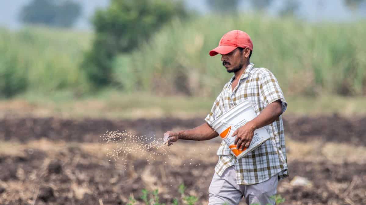 किसानों की जेब को बड़ी राहत! उर्वरकों और कृषि उत्पादों पर GST घटा, खेती की लागत में भारी कमी