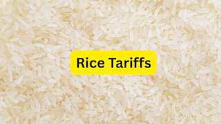 ट्रंप का बड़ा संकेत! भारतीय चावल पर लग सकते हैं नए टैरिफ, 8% तक टूटे ये शेयर्स