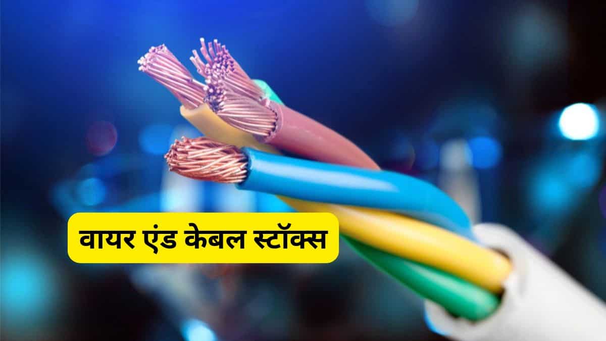 ऑल वेदर पोर्टफोलियो वाले 3 दमदार स्टॉक्स! सेंट्रम ब्रोकिंग ने जारी की दमदार रिपोर्ट