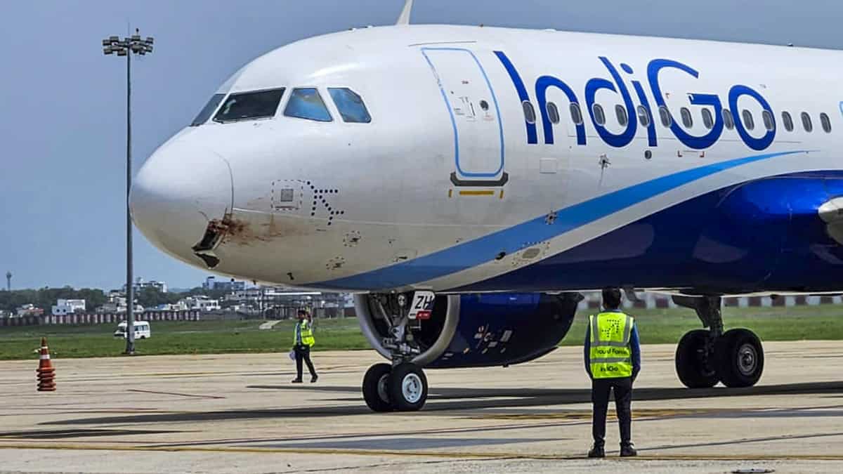 IndiGo Exposed: सेल के नाम पर बड़ा खेल! कैंसल होने वाली उड़ानों के टिकट बेचकर फंसाए लाखों यात्री? जानें पूरा अपडेट