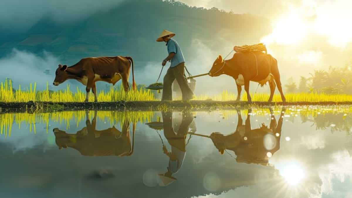 किसानों की हुई बल्ले-बल्ले! पिछले साल का रिकॉर्ड टूटा, गेहूं-चने की खेती में जबरदस्त उछाल,जानें खुश करने वाले आंकड़े