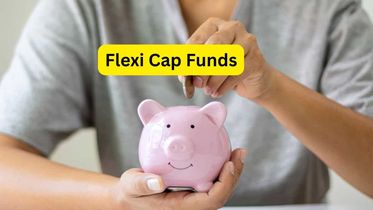 म्यूचुअल फंड का नया किंग Flexi Cap Fund! मिड और स्मॉलकैप फंड्स का जोश हुआ कम