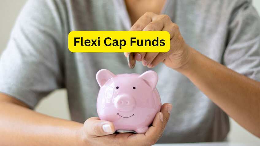 म्यूचुअल फंड का नया किंग Flexi Cap Fund! मिड और स्मॉलकैप फंड्स का जोश हुआ कम