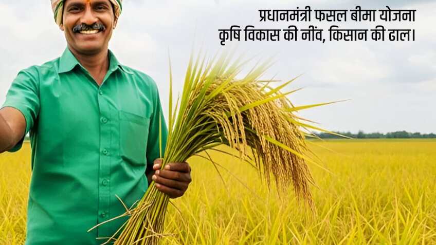 PMFBY: प्याज-टमाटर समेत 5 सब्जियां फसल बीमा में शामिल, 31 दिसंबर तक कराएं रजिस्ट्रेशन