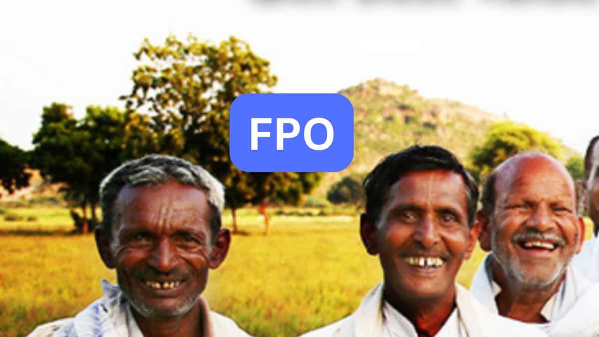 FPO के लिए सरकार का मेगा प्लान! अगले 5 साल तक मिलेगी सपोर्ट, कैपिटल और कॉम्प्लायंस बोझ कम होगा