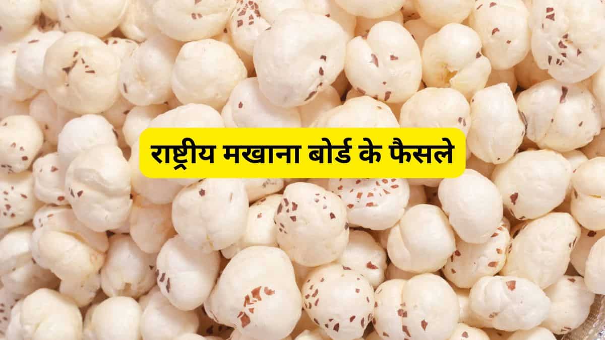 किसानों को मिलेगा अच्छी क्वालिटी का मखाना बीज, राष्ट्रीय मखाना बोर्ड की पहली बैठक में हुए ये बड़े फैसले