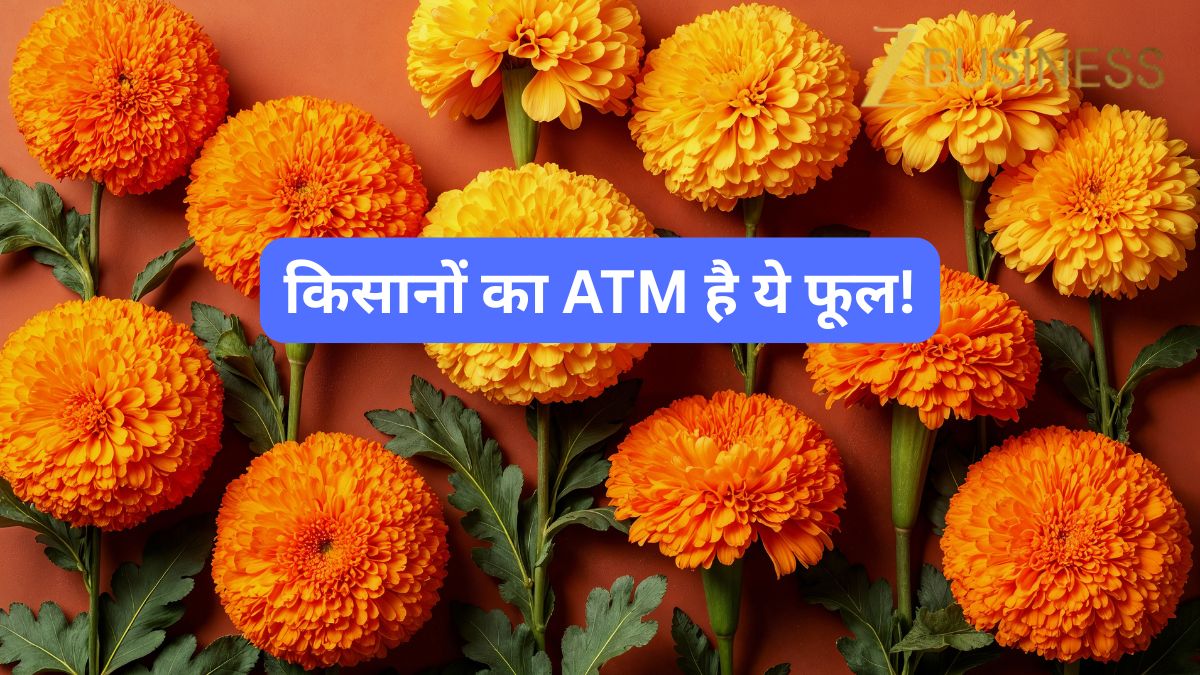 किसानों का ATM है ये फूल! खेती पर 50% सब्सिडी दे रही सरकार, जानें योजना से जुड़ी सभी जरूरी बातें