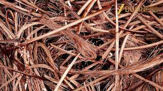 सस्ते तांबा आयात से घरेलू उद्योग पर संकट! 3% सेफगार्ड ड्यूटी लगाने की मांग