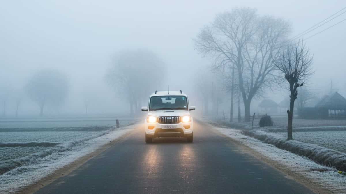 छाने लगा कोहरा...कार ड्राइवर हो जाएं सावधान! बिना इन टिप्स को फॉलो किए ना चलाएं गाड़ी