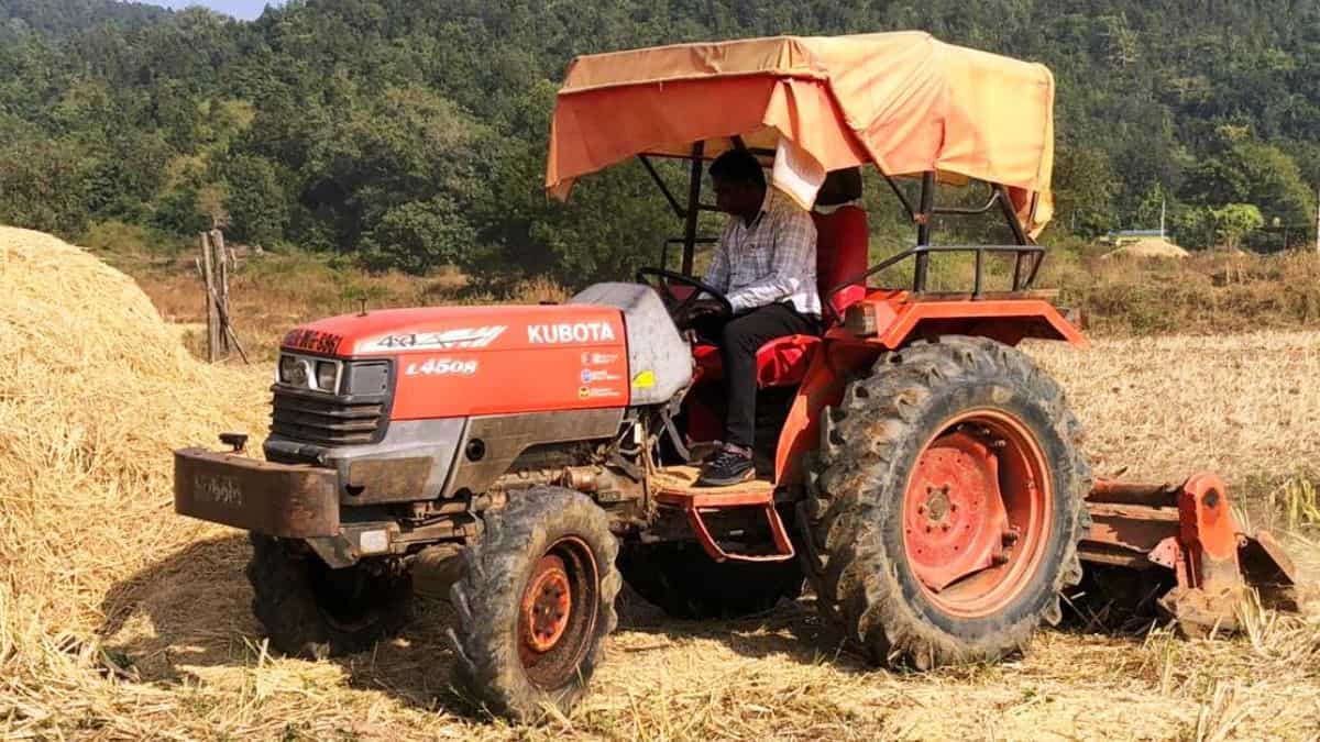 PMDDKY: इस सरकारी योजना ने किसान की बदली जिंदगी, मक्के की खेती से मिला बंपर मुनाफा