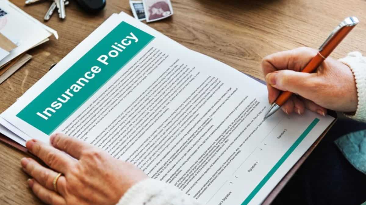 लाइफ इंश्योरेंस और टर्म इंश्योरेंस में कितना फर्क? पैसा लगाने से पहले ये समझना बेहद जरूरी