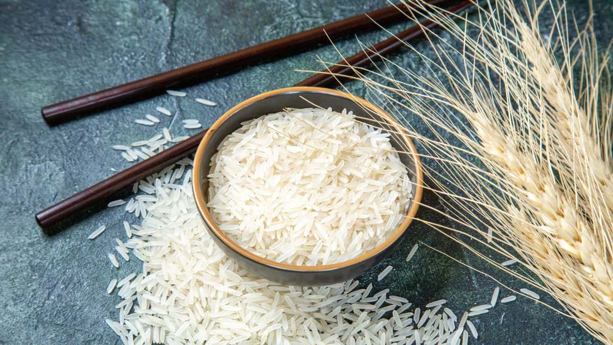 अमेरिका को महंगे बासमती चावल का निर्यात, डंपिंग का सवाल ही नहीं- वाणिज्य सचिव