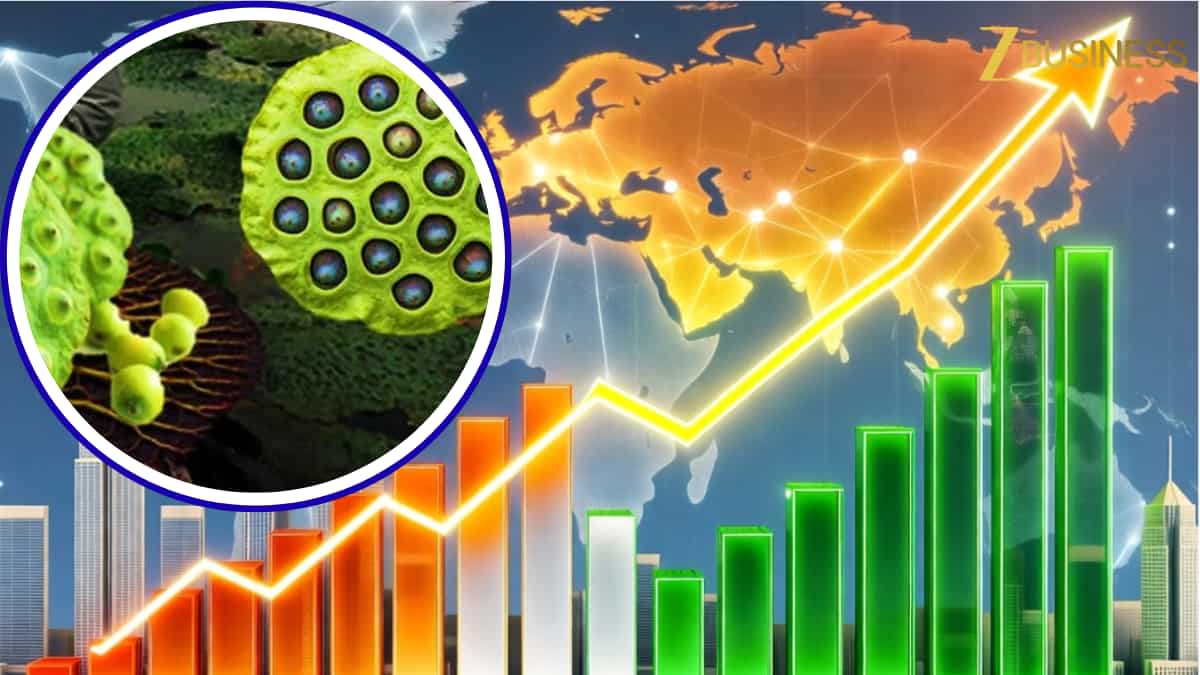 इस सुपरफूड पर है भारत का एकछत्र राज! 80% प्रोडक्शन के साथ बना ग्लोबल लीडर 