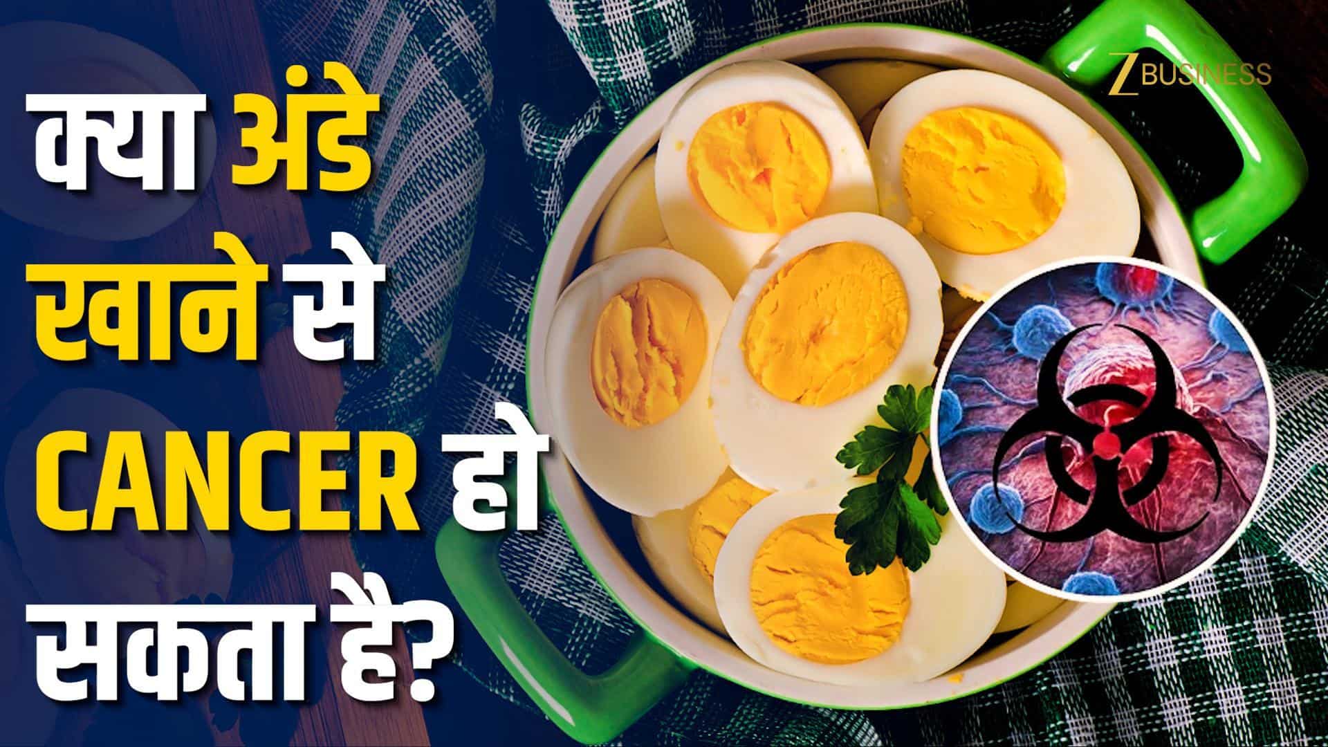 क्या अंडे खाने से हो सकता है कैंसर? जानें अंडों में मिले "AOZ Chemical" का पूरा सच!