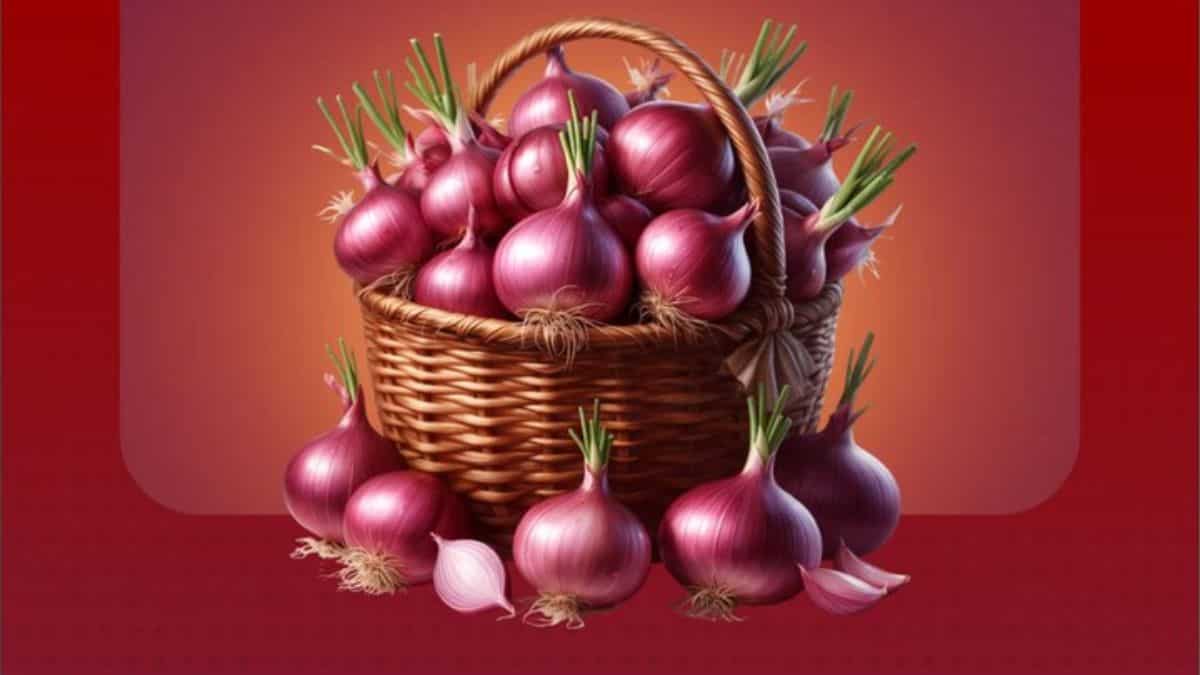 आम आदमी को बड़ी राहत! दिल्ली-NCR में अब सिर्फ ₹19 में मिलेगा प्याज, NCCF ने शुरू की बिक्री
