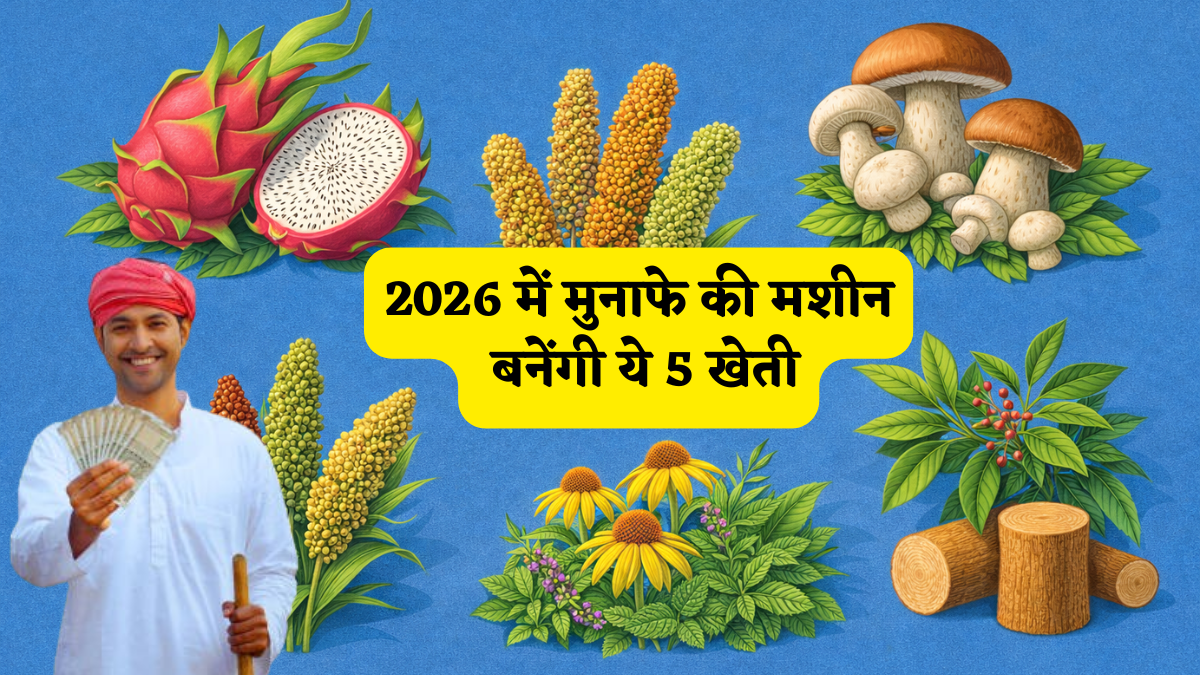 2026 में मुनाफे की मशीन बनेंगी ये 5 खेती! आज ही समझ लें हर एक किसान, फिर कहीं चूक न जाएं मौका!