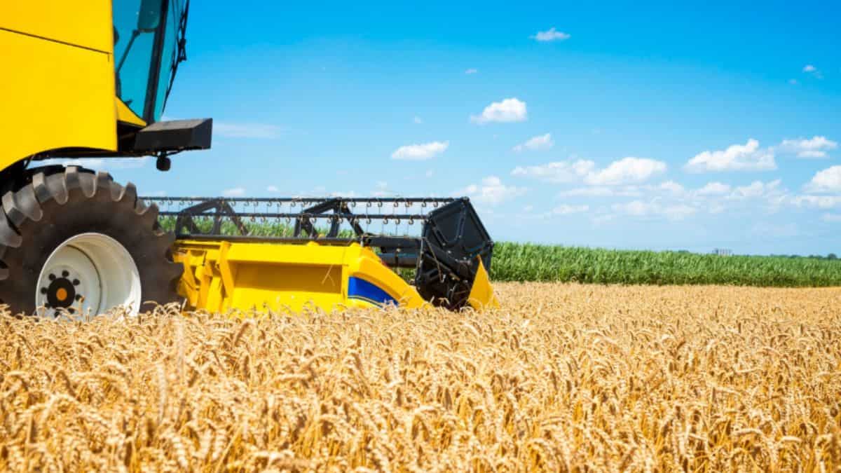 2025 में बंपर फसल! 2026 में बीज-कीटनाशक कानून तय करेंगे खेती की दिशा