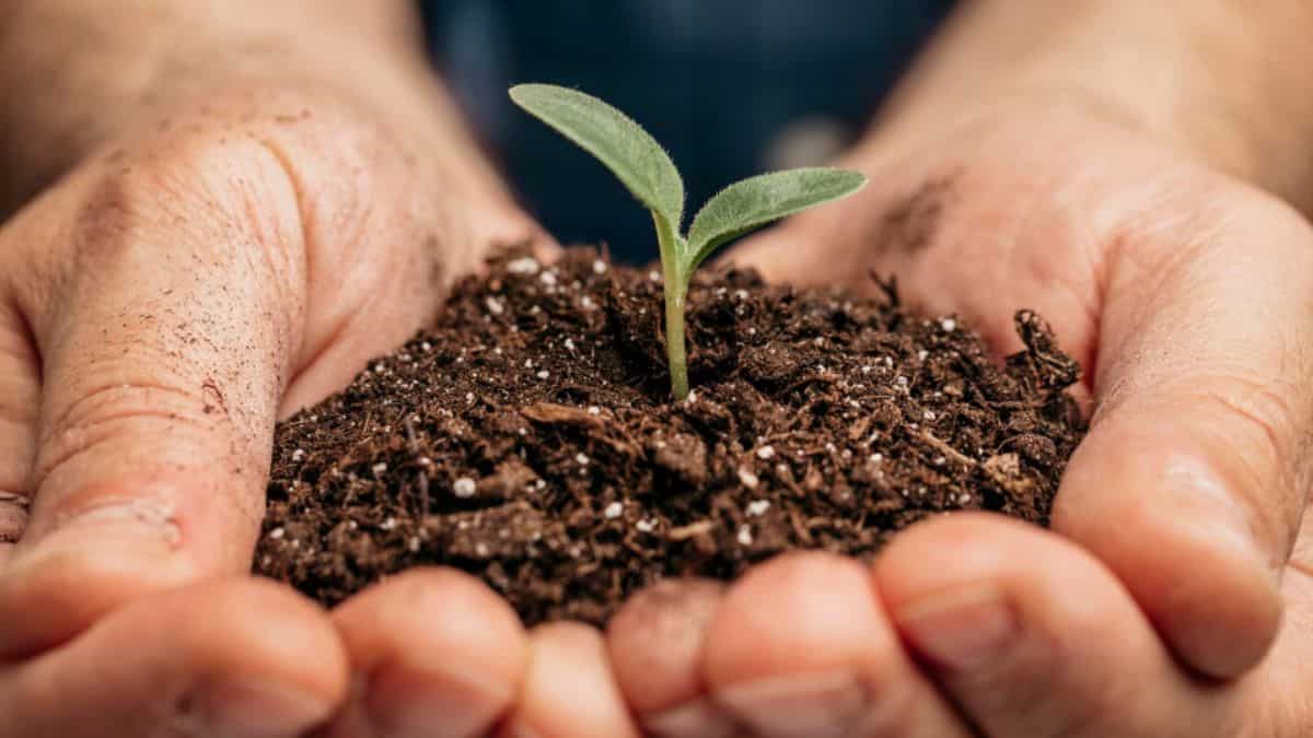 सरकार का मास्टरस्ट्रोक! ₹2 लाख करोड़ की उर्वरक सब्सिडी अब पूरी तरह डिजिटल