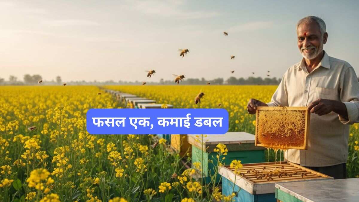 फसल एक, कमाई डबल! खेती से बढ़ेगी पैदावार भी, किसानों की जेब भी होगी भारी