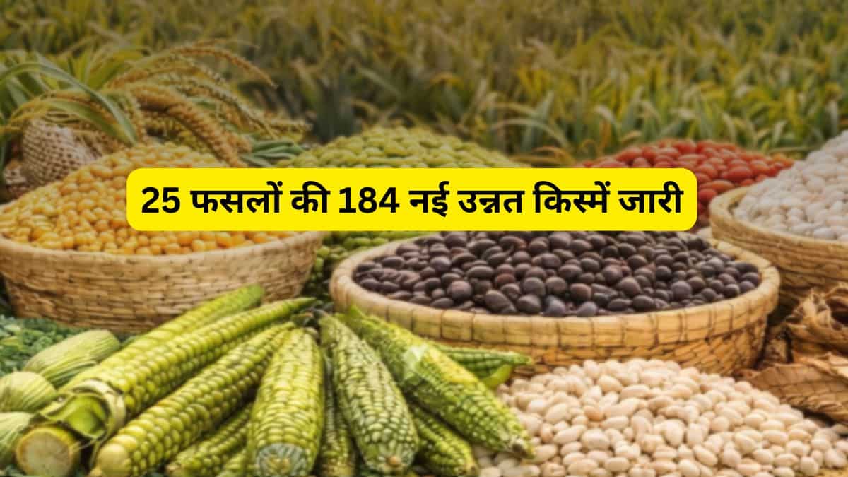 किसानों को नए साल का तोहफा! सरकार ने जारी की 25 फसलों की 184 नई उन्नत किस्‍में, अन्नदाताओं की बढ़ेगी कमाई