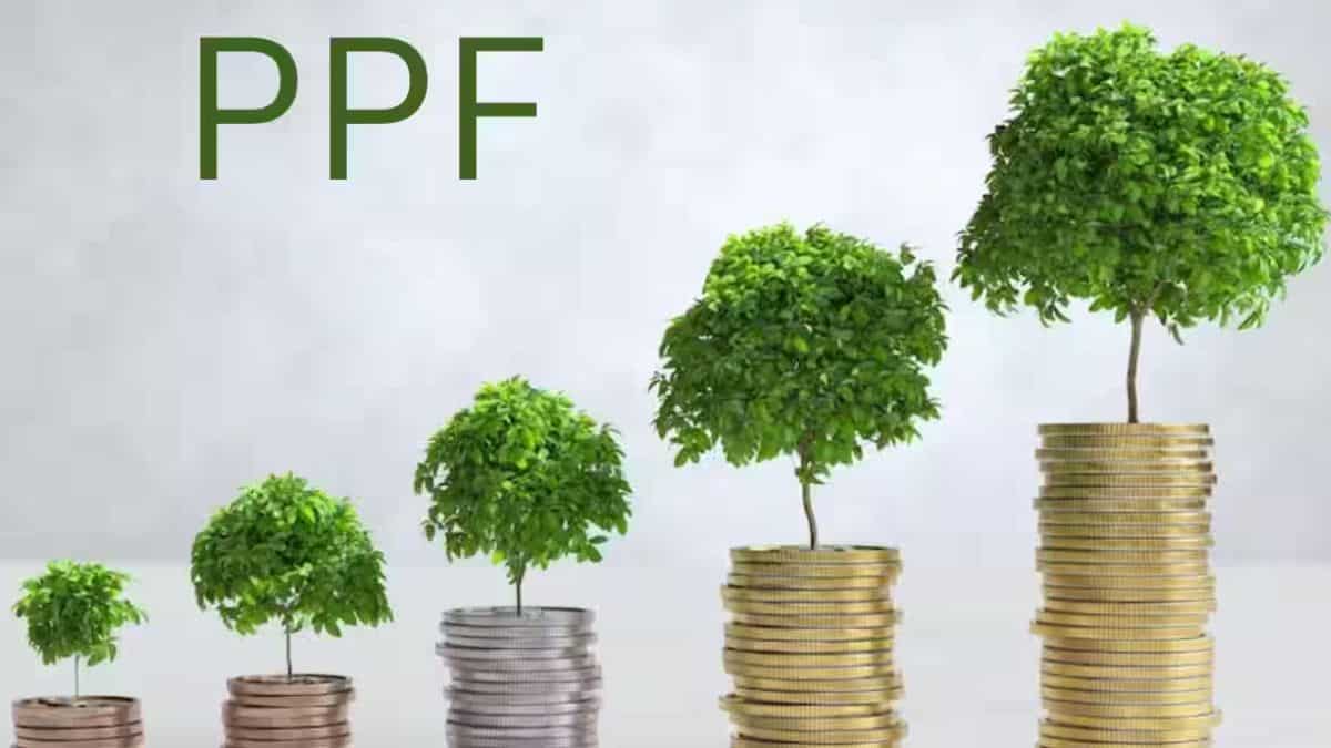 PPF: निवेश से पहले नहीं किया इन 5 बातों पर गौर तो Regret करेंगे! 15 साल से पहले अकाउंट क्‍लोज का भी नहीं मिलेगा मौका
