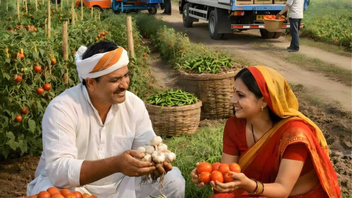 टमाटर-मिर्च-लहसुन की खेती किसानों की बढ़ेगी आय, शेड हाउस लगाने के लिए सरकार दे रही 75% सब्सिडी