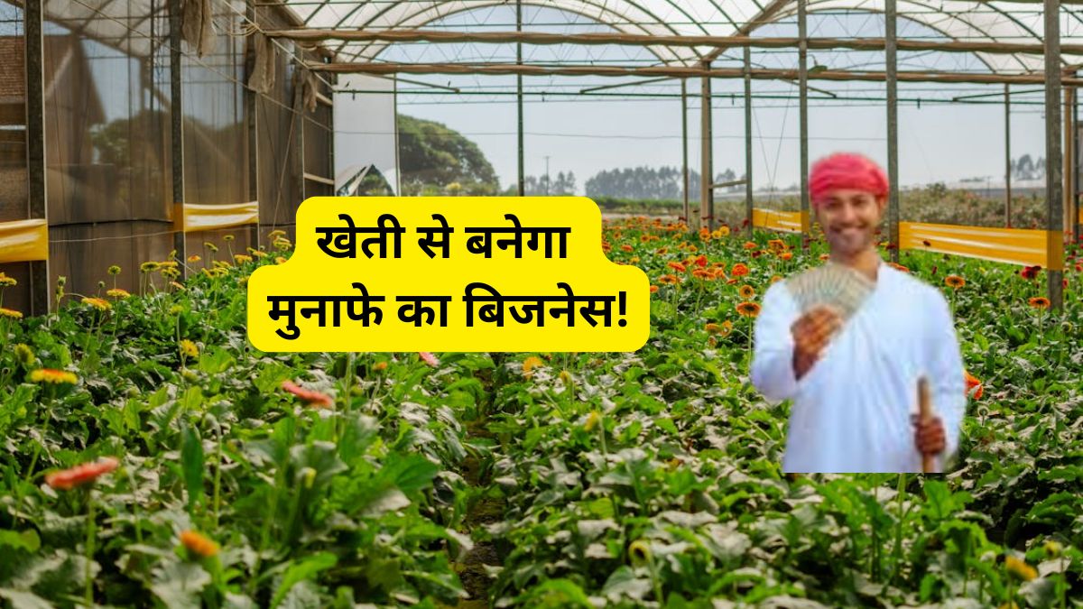 कम जमीन, बड़ा मुनाफा! छोटी नर्सरी के लिए सरकार दे रही ₹10 लाख, जानें आवेदन का पूरा प्रोसेस