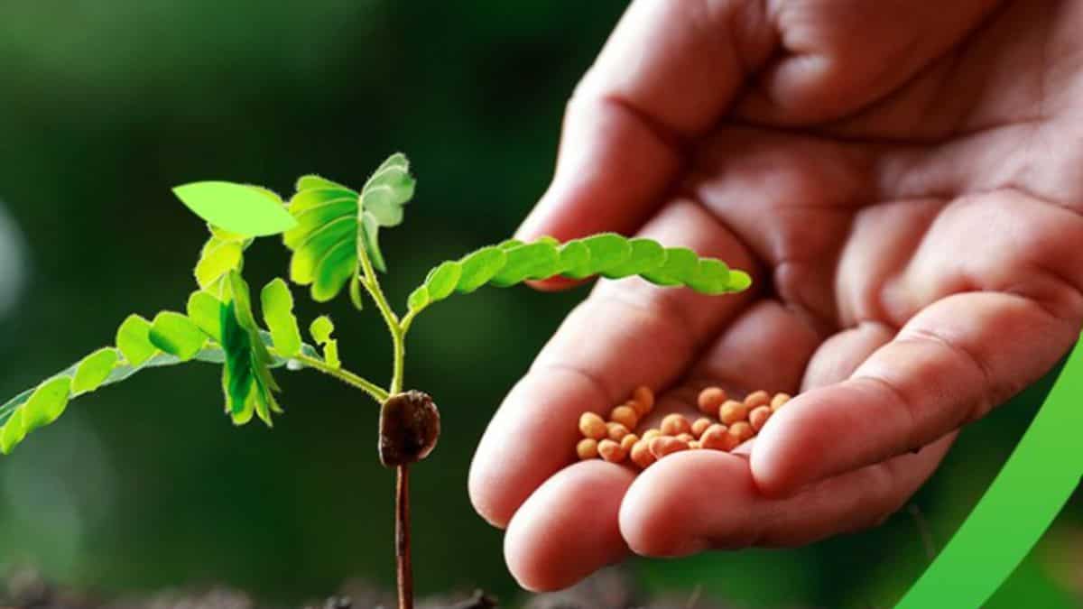 बजट सत्र में नकली बीजों की रोक के लिए उठाए जाएंगे कदम, ₹30 लाख तक जुर्माना  और जेल का प्रावधान