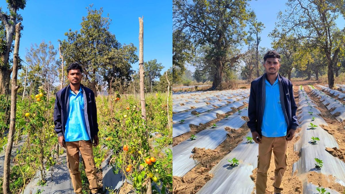 Success Story: खेती की तकनीक बदलते ही चमक गई युवा किसान की किस्मत, अब हो रहा लाखों का मुनाफा