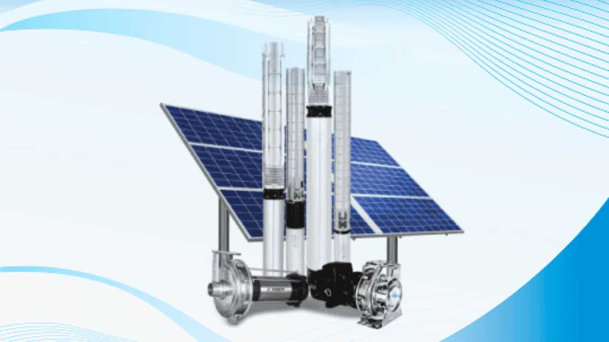 BUDGET MY PICK: कंपनी 100 से अधिक देशों को करती है निर्यात, मिल सकता है 58% का सुपर रिटर्न