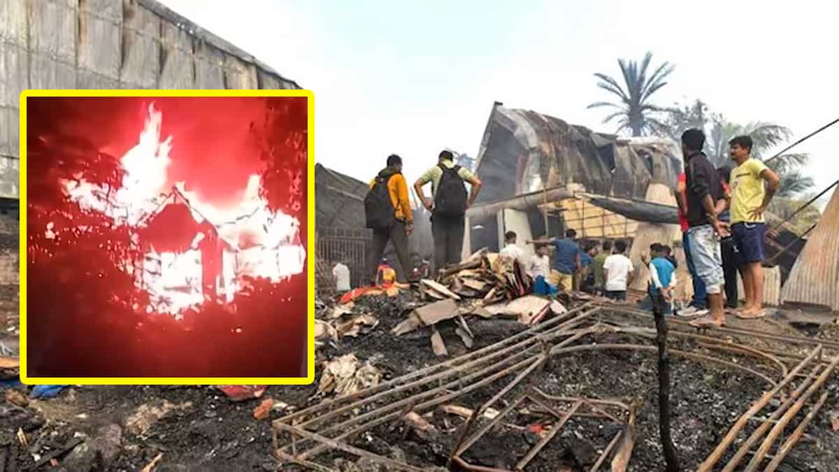 Kolkata Anandapur Fire: भीषण आग में जिंदा जल गए 19 लोग.. 20 लापता.. आखिर 'Wow! Momo' तक क्यों पहुंच रही इसकी आंच?