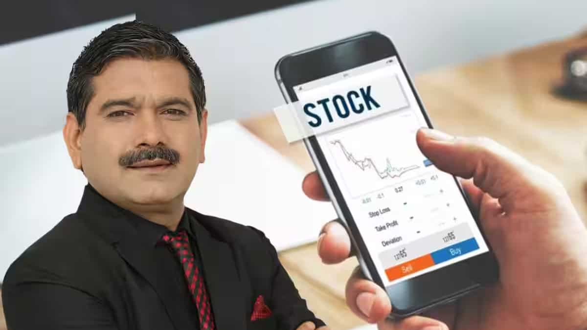 Top Stocks to BUY: दमदार नतीजों के बाद दमदार रिटर्न की बारी, इन 4 शेयरों पर अनिल सिंघवी बुलिश