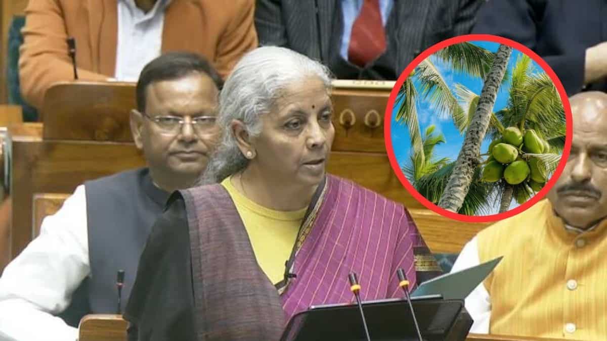 Budget 2026: नारियल को बढ़ावा देने की योजना शुरू करेगी सरकार, काजू और कोको के लिए हुए ये बड़े ऐलान