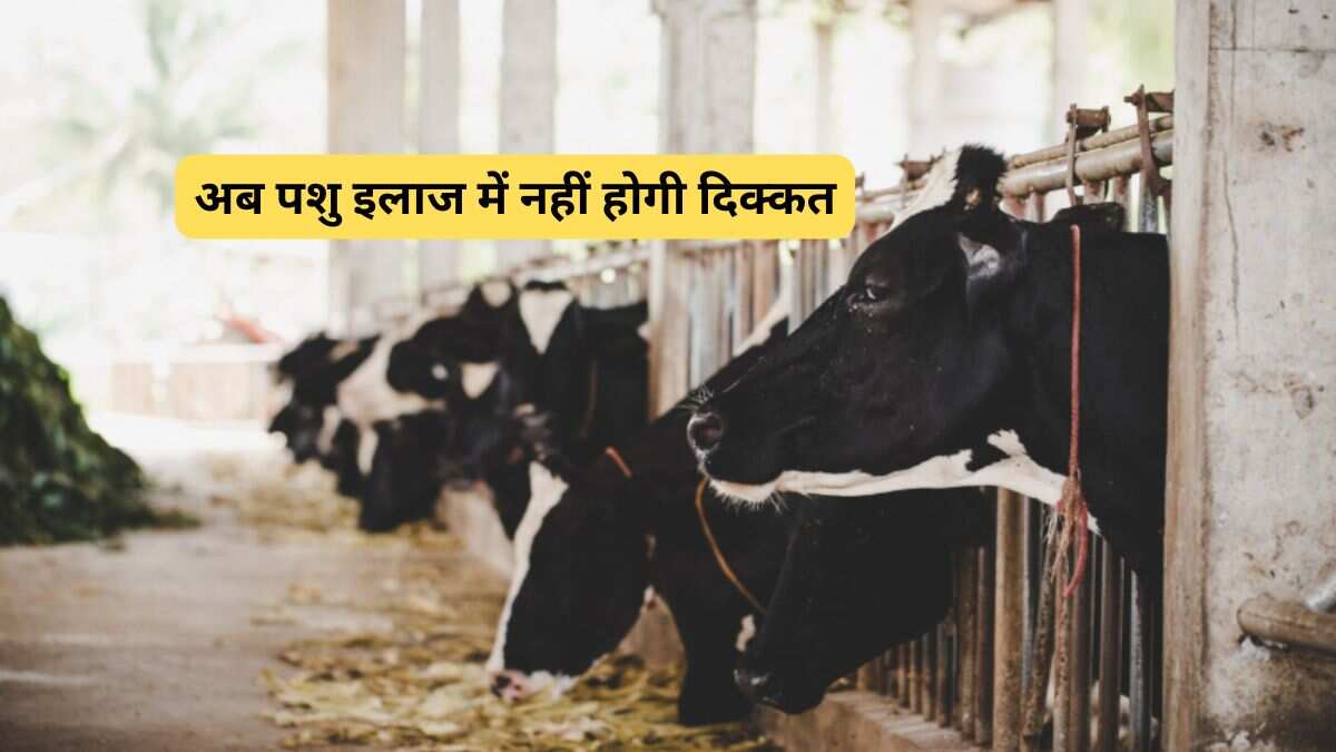 Budget 2026: पशुपालकों के लिए राहत! अब गांवों में पशु इलाज होगा आसान, सरकार देगी 20 हजार डॉक्टर