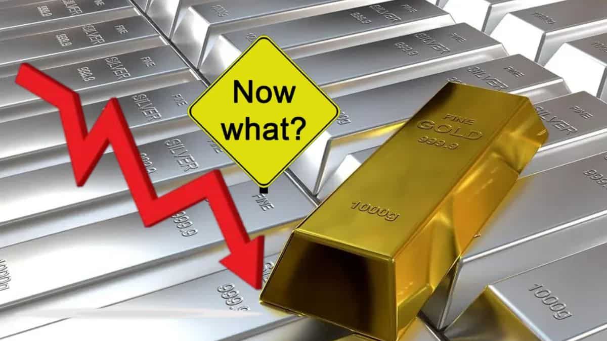 20% तक टूटे गोल्ड-सिल्वर ETF, ₹1.9 लाख सस्ती हुई चांदी; करेक्शन के बाद अब किन फंड्स में करें निवेश?
