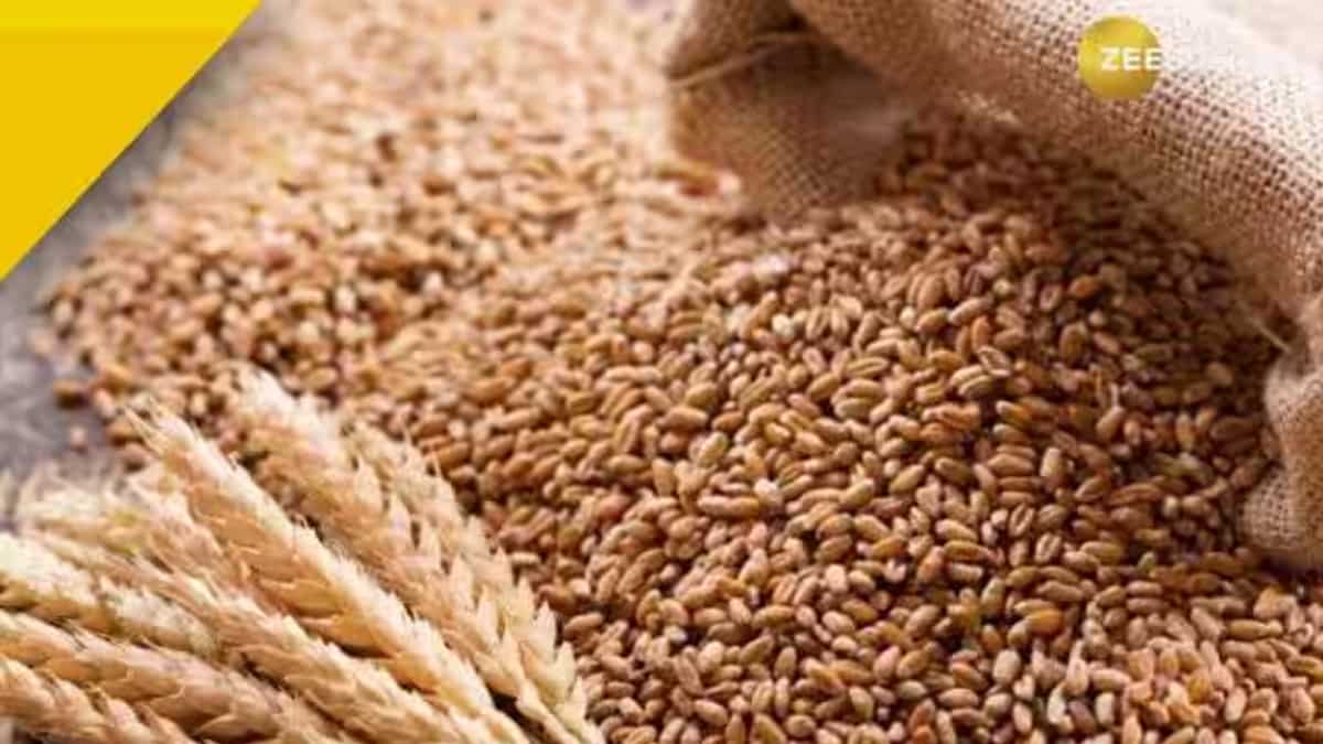 केंद्र सरकार ने गेहूं पर लगी 'स्टॉक लिमिट' हटाई, जानिए क्यों लिया गया ये फैसला, किसे होगा फायदा