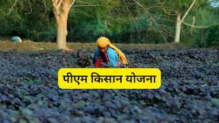 PM Kisan: यूपी के 19 लाख किसानों को बड़ा झटका! रुक गई पीएम किसान की किस्त, कहीं आपका नाम तो नहीं?