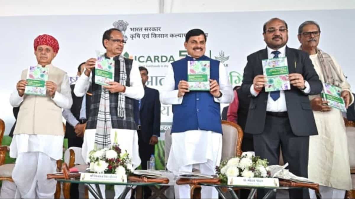 दाल मिल लगाकर करें बंपर कमाई! सरकार देगी ₹25 लाख तक की सब्सिडी, खेती के लिए मिलेंगे प्रति एकड़ 10,000 रुपए