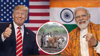 अमेरिका से हुई ट्रेड डील! गुजरात के इन खास किसानों पर बरसेगा पैसा, जानें कैसे होगा फायदा