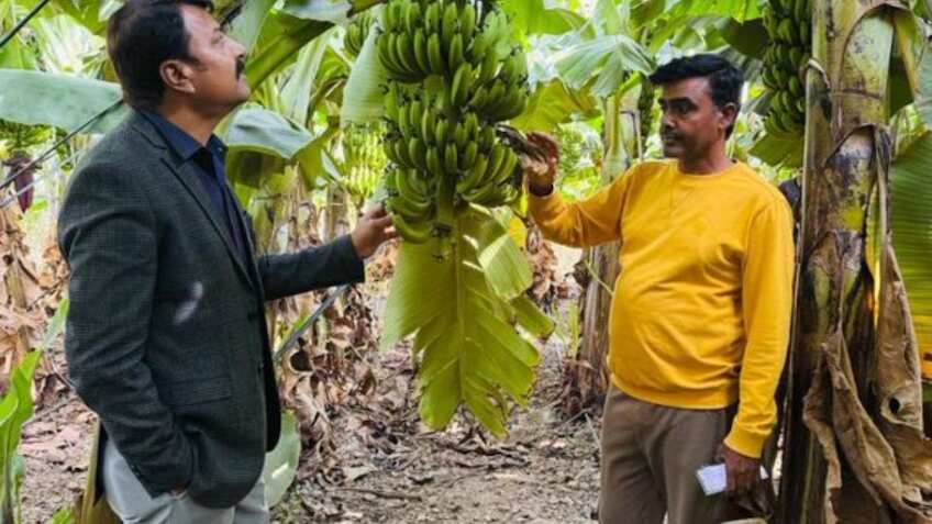 पथरीली जमीन पर मुनाफे की खेती! छिंदवाड़ा के किसान ने पेश की इनोवेशन की मिसाल, कमा रहा लाखों