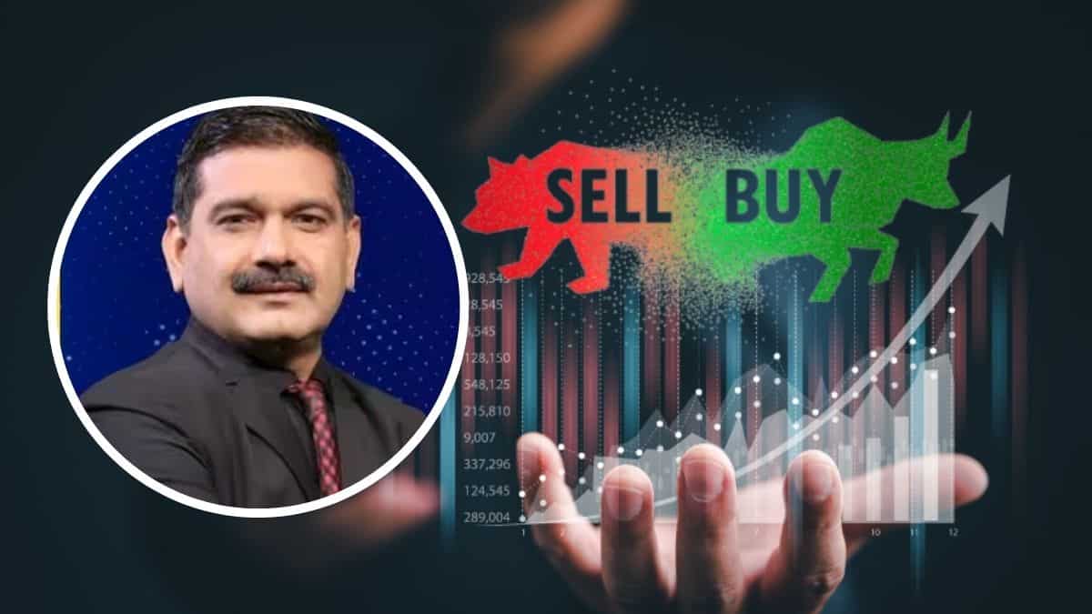 बड़ी तेजी के संकेत, अनिल सिंघवी ने आज कमाई के लिए चुने ये 6 स्टॉक्स; नोट करें TGT-SL डीटेल