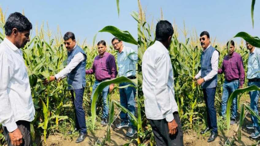 Success Story: स्वीट कॉर्न की खेती ने किसान को बनाया मालामाल, 3 महीने में कमाया ₹10 लाख का मुनाफा