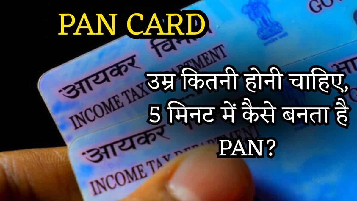 PAN Card Guide: उम्र कितनी होनी चाहिए, 5 मिनट में कैसे बनता है PAN और कहां-कैसे हो सकता है मिसयूज?