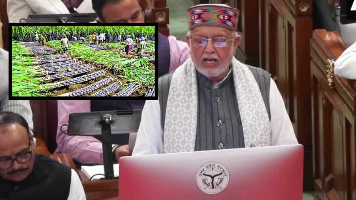 UP Budget: गन्ना किसानों के लिए खुशखबरी! यूपी बजट में ₹30 प्रति क्विंटल बढ़े दाम, योगी सरकार ने खोल दिया 9.12 लाख करोड़ का सरकारी पिटारा