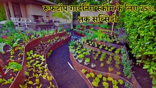 बिहार सरकार का तोहफा: अपनी छत को बनाएं 'मिनी खेत', मिलेगी 75% सब्सिडी ,ऐसे करें फटाफट आवेदन